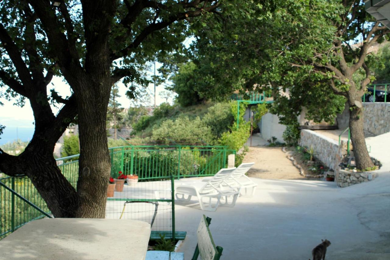 Villa " Davorka" 伯德古拉 外观 照片