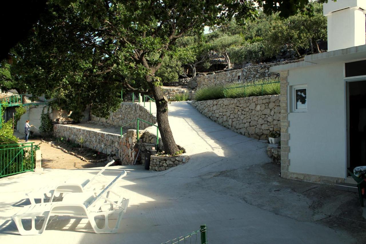 Villa " Davorka" 伯德古拉 外观 照片
