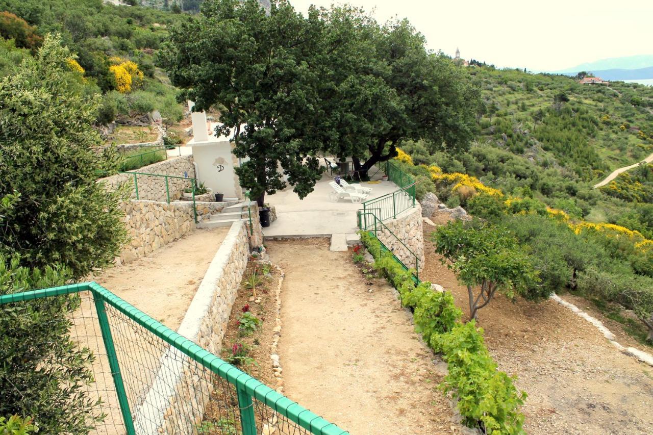Villa " Davorka" 伯德古拉 外观 照片