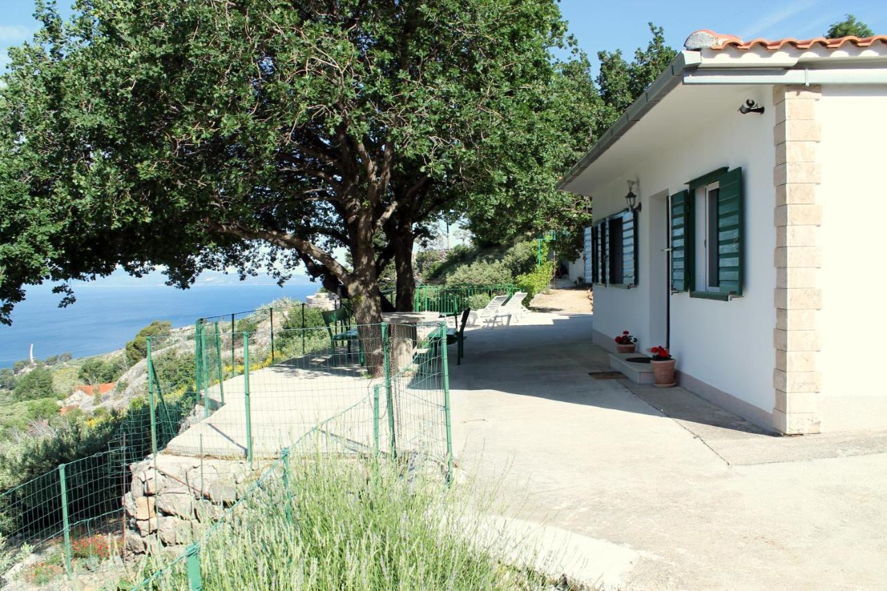 Villa " Davorka" 伯德古拉 外观 照片