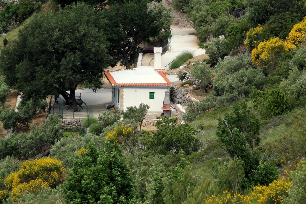 Villa " Davorka" 伯德古拉 外观 照片