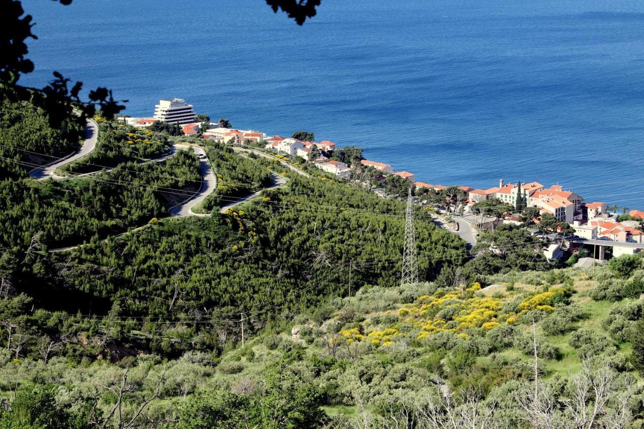 Villa " Davorka" 伯德古拉 外观 照片