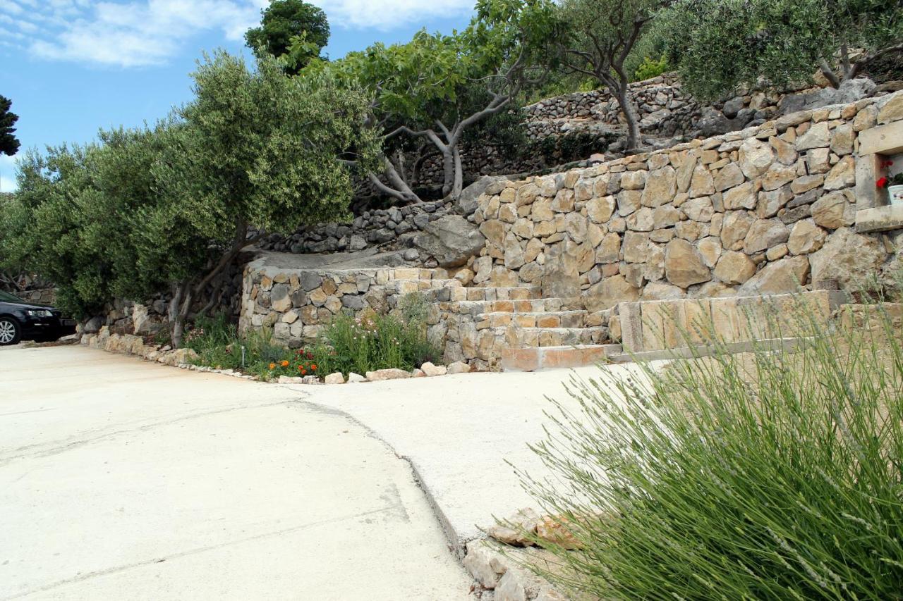 Villa " Davorka" 伯德古拉 外观 照片