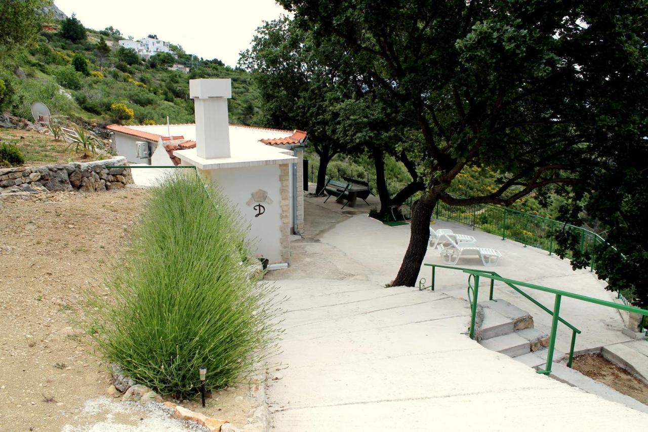 Villa " Davorka" 伯德古拉 外观 照片