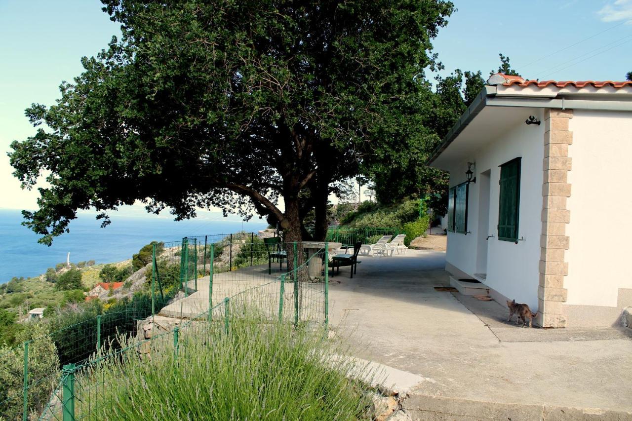 Villa " Davorka" 伯德古拉 外观 照片