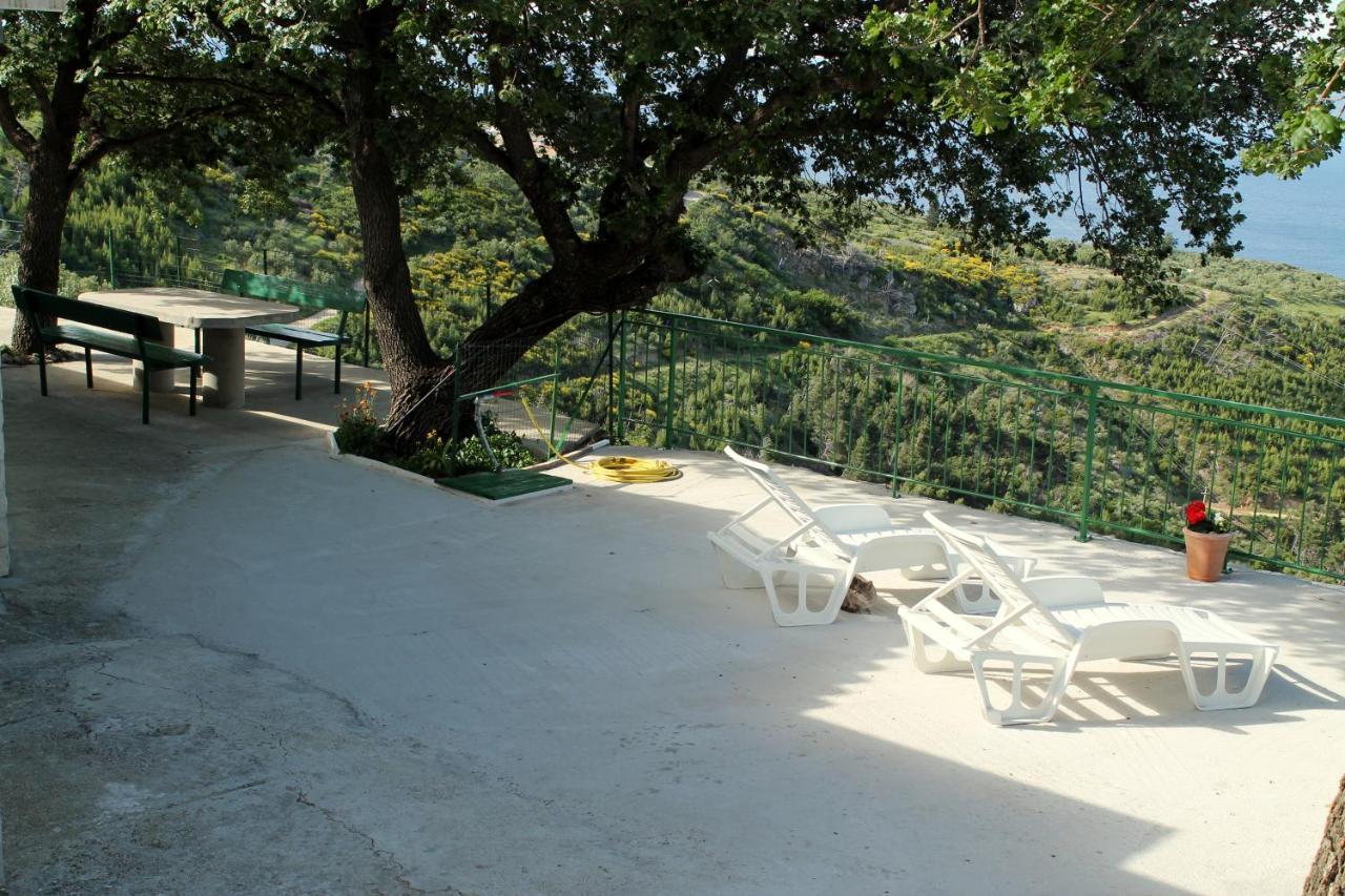 Villa " Davorka" 伯德古拉 外观 照片