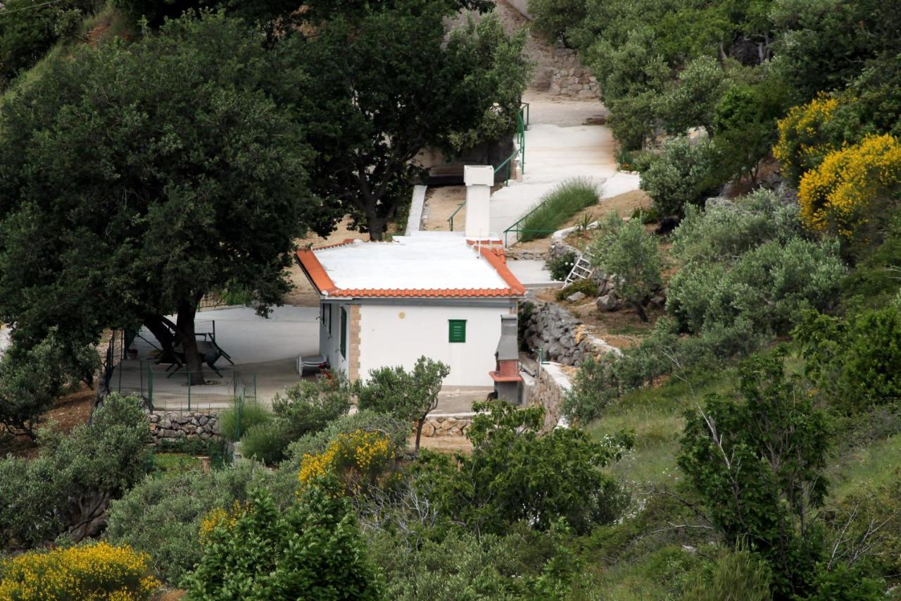 Villa " Davorka" 伯德古拉 外观 照片