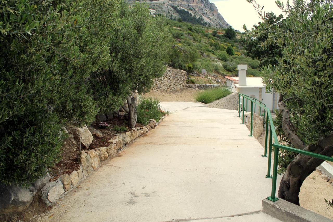 Villa " Davorka" 伯德古拉 外观 照片