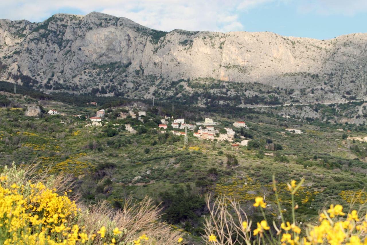 Villa " Davorka" 伯德古拉 外观 照片