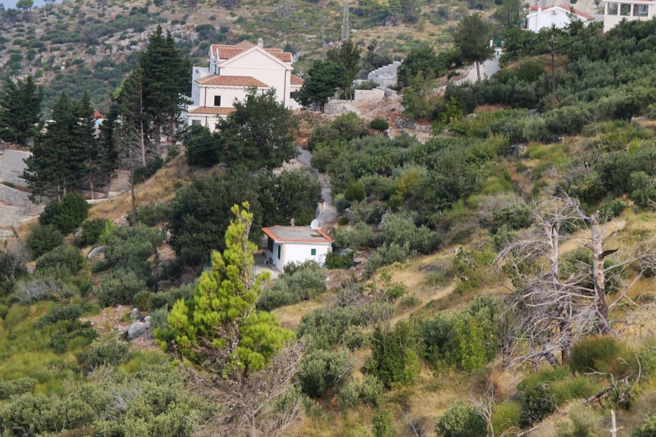 Villa " Davorka" 伯德古拉 外观 照片