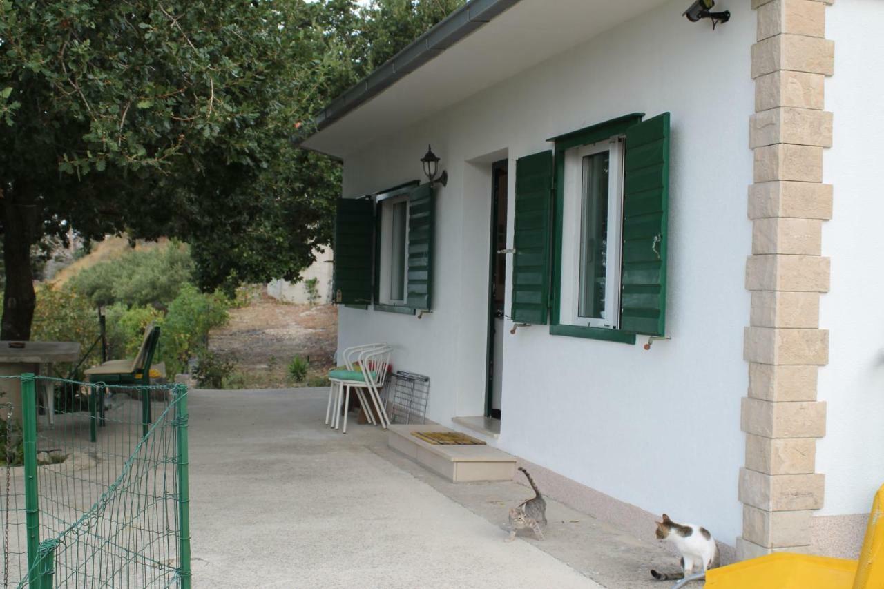 Villa " Davorka" 伯德古拉 外观 照片