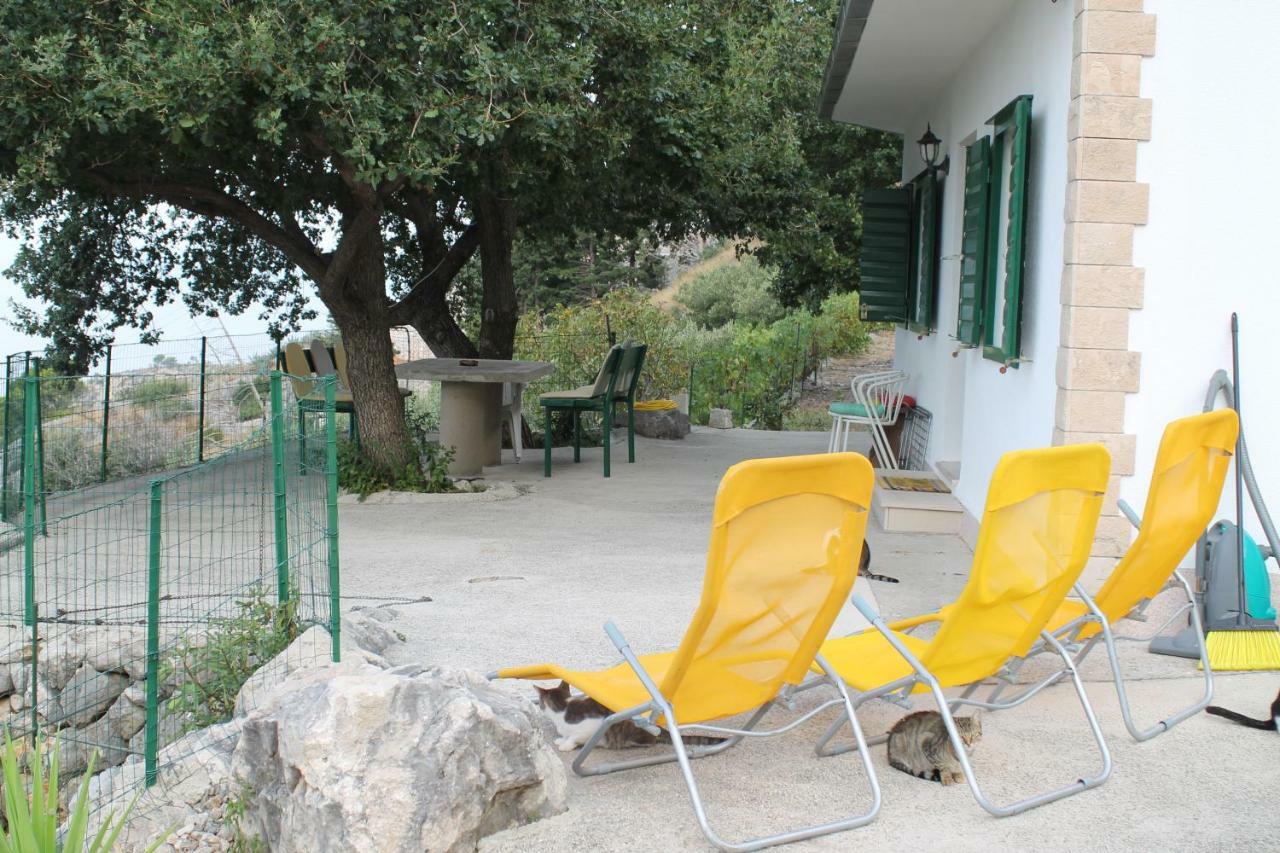 Villa " Davorka" 伯德古拉 外观 照片