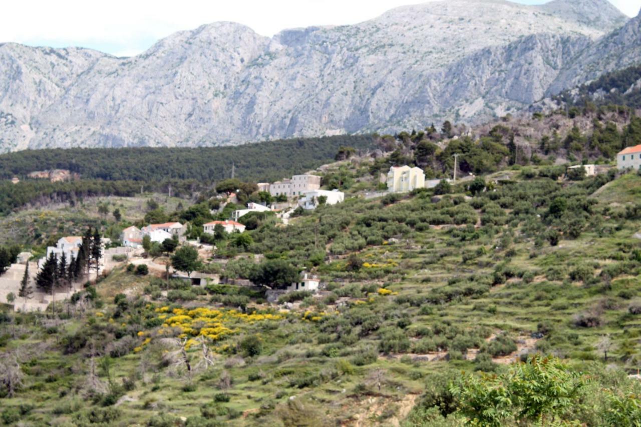 Villa " Davorka" 伯德古拉 外观 照片