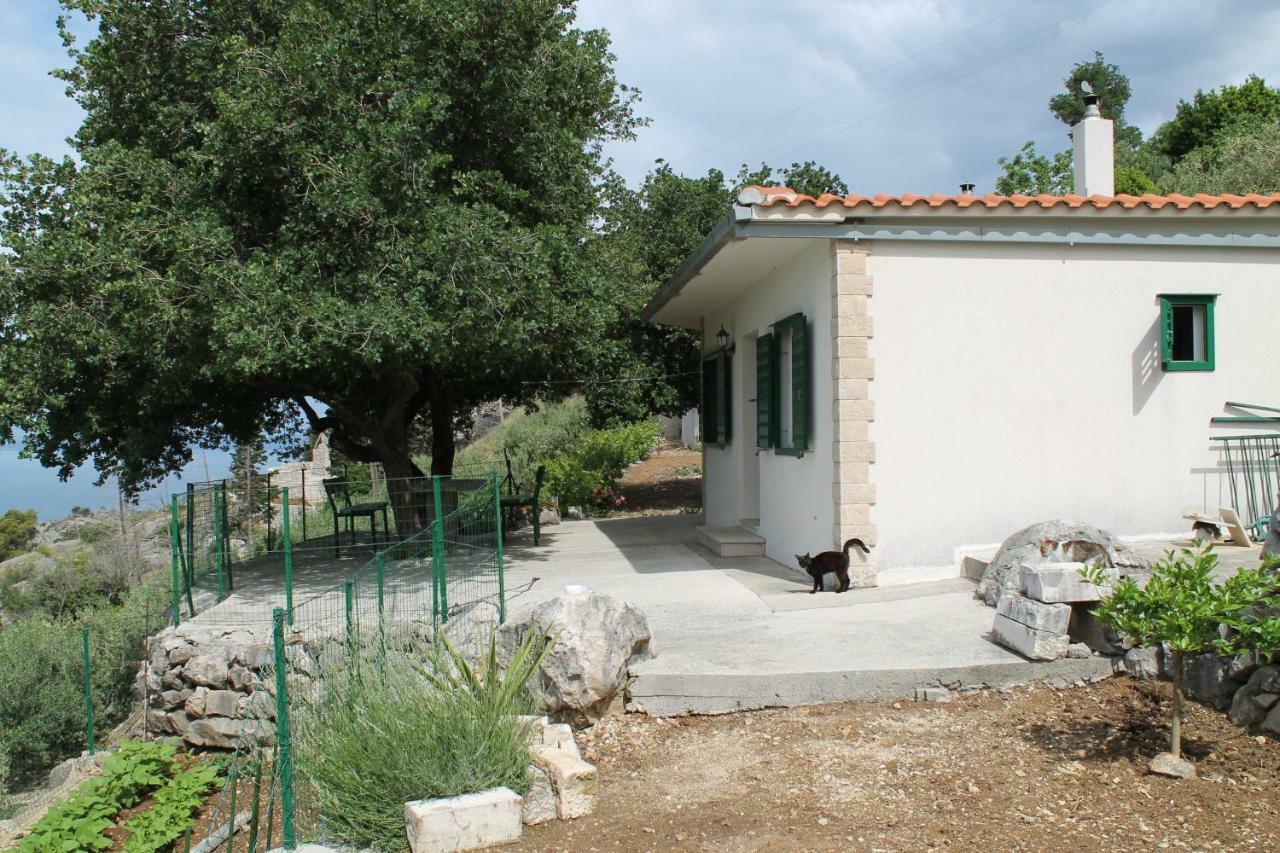 Villa " Davorka" 伯德古拉 外观 照片