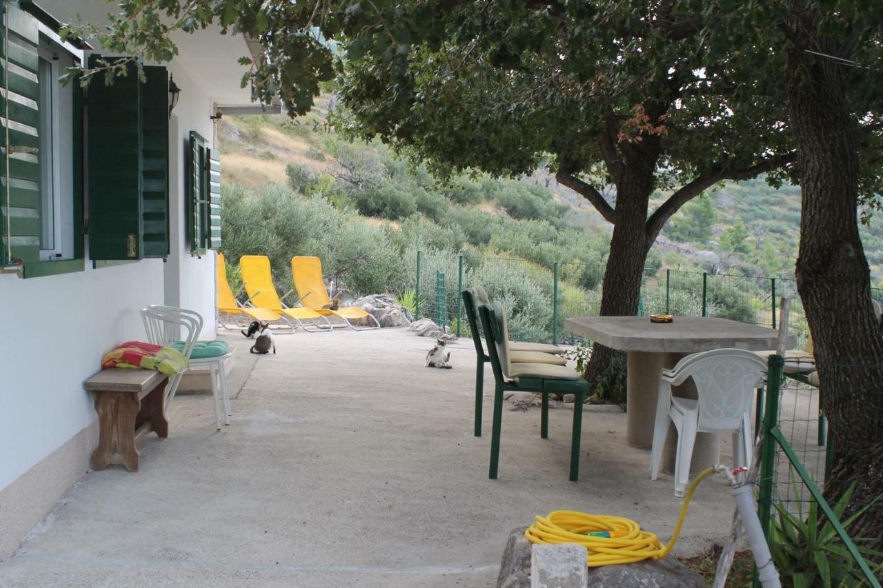 Villa " Davorka" 伯德古拉 外观 照片