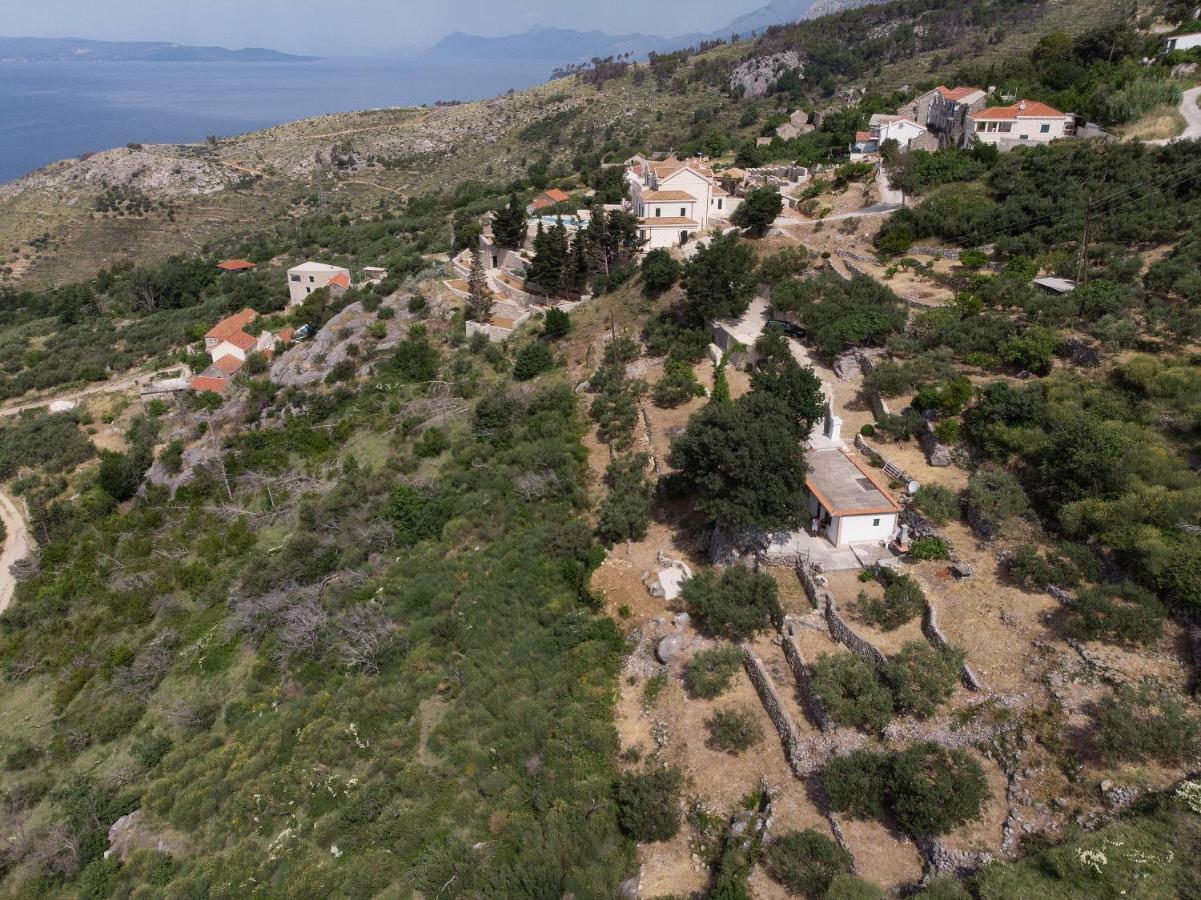 Villa " Davorka" 伯德古拉 外观 照片