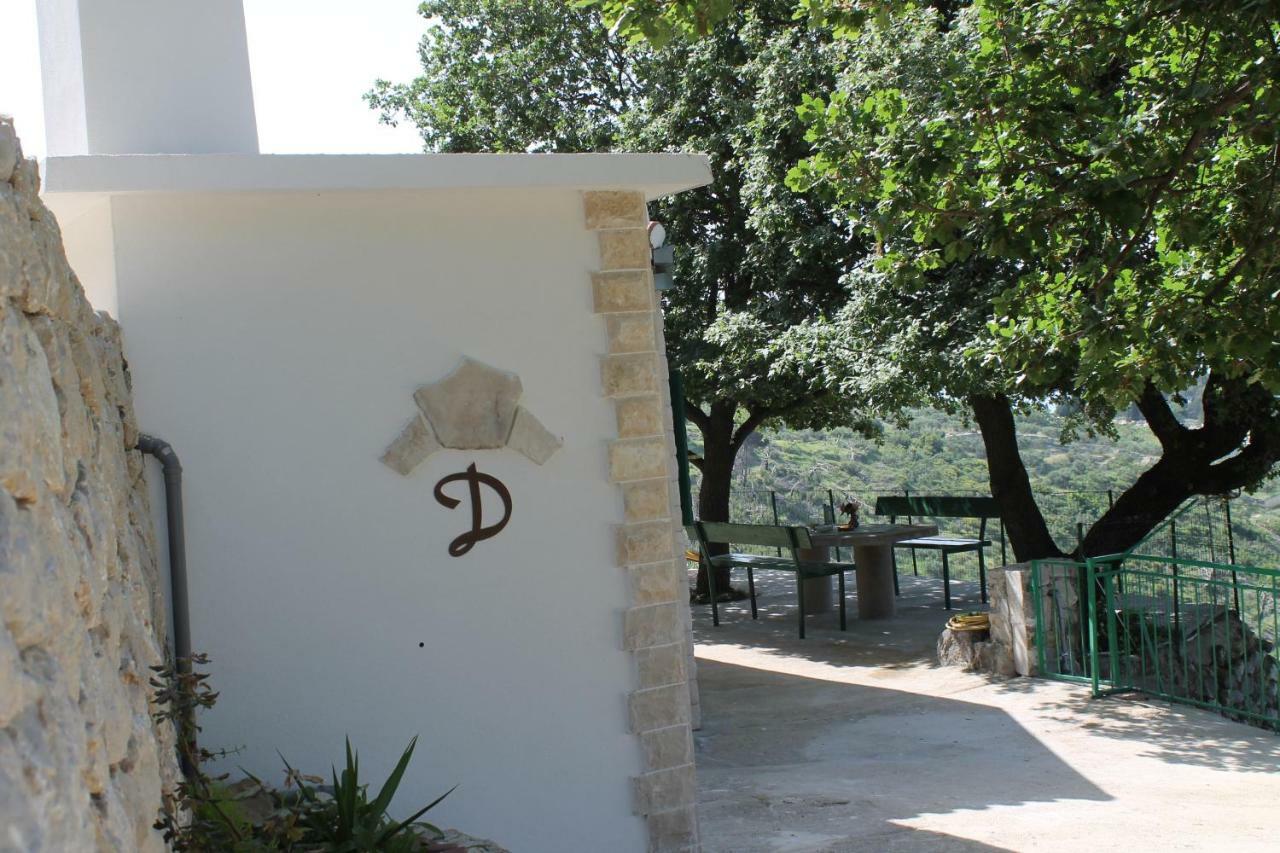 Villa " Davorka" 伯德古拉 外观 照片