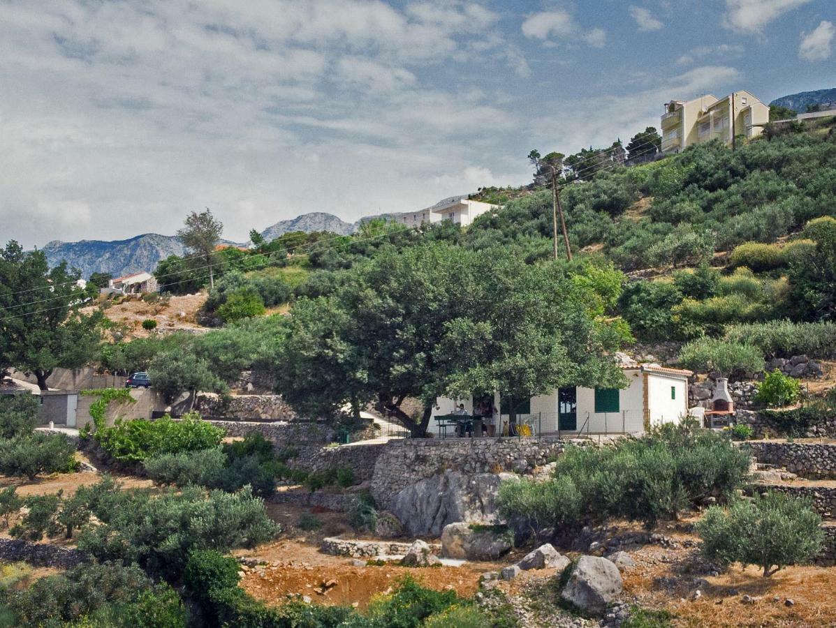 Villa " Davorka" 伯德古拉 外观 照片